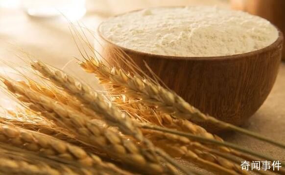 14億多人的飯碗端得穩(wěn)、端得牢 當前我國糧食安全形勢如何