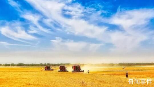 端牢中國飯碗 綜合施策保夏收