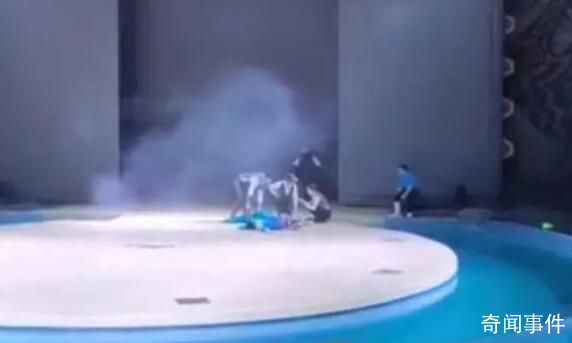 哈爾濱2名雜技演員高空墜落 事故頻發(fā)誰該為雜技演員安全負責