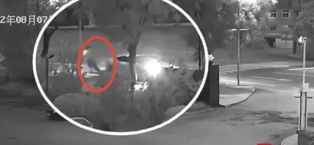 男子無證酒駕撞人拋尸 獲刑6年半