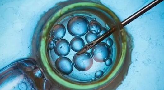 英國首批三親嬰兒誕生 嬰兒數(shù)量少于5名