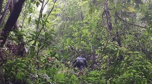 無人機航拍時被鷹叼走 稱有被嚇到