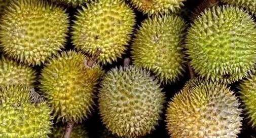 盒馬回應榴蓮漲價:貨源少