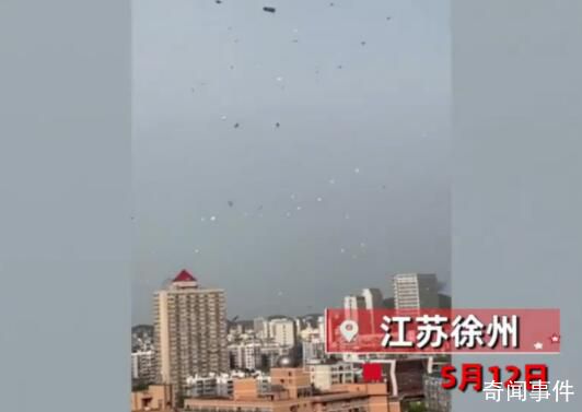 徐州天降大量抵制虐貓傳單 物業(yè)工作人員還在清理