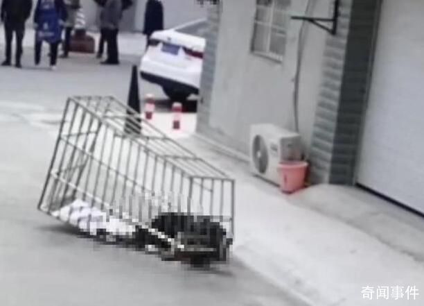 男子隨防盜網(wǎng)從六樓墜落身亡 系作業(yè)時未系安全繩