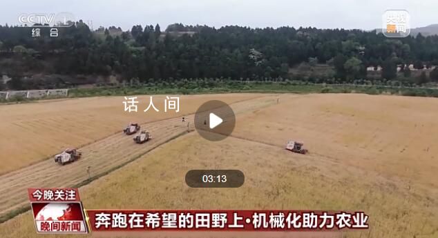 當傳統小麥遇上現代機械化收割 小麥機械化收割農業增效農民增收