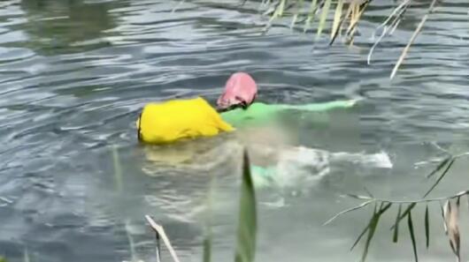 胡錫進評女子泅渡界河去美國 她代表不了今天海外華人的形象