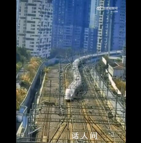 這高鐵怎么蛇里蛇氣的 畫面向大家展示了靈動的一面
