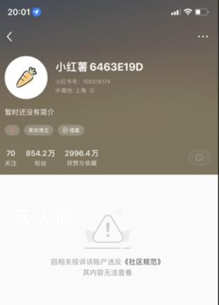 美妝博主程十安小紅書賬號被封 到底怎么回事