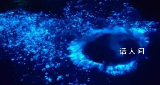 浙江多地海邊現“藍眼淚”奇觀 你的朋友圈被它刷屏了嗎