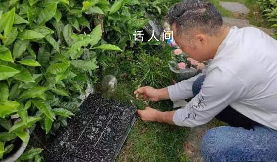 杭州墜亡女童父親:她居然不用坐牢