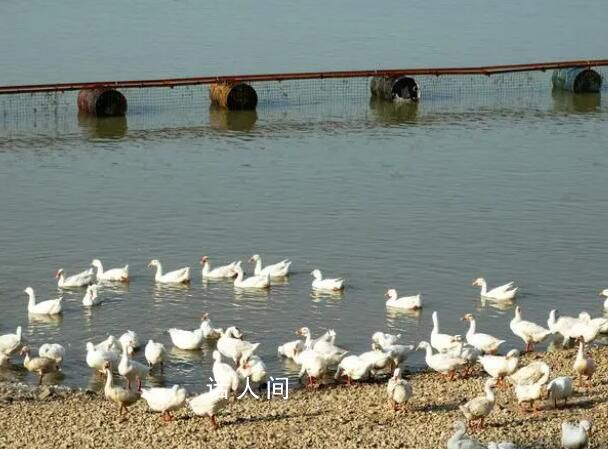 媒體三問網(wǎng)紅浮橋墜車事故 掛牌督辦后整改是否到位