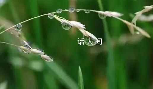 小滿小滿 小得盈滿