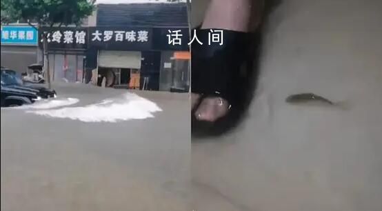 武漢一高校宿舍進水有魚游進屋內(nèi) 每年下大雨湖水上漲都會這樣