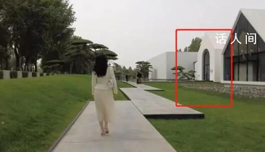 黃奕擅拿展品拍照被美術館批評 女星黃奕惹爭議了