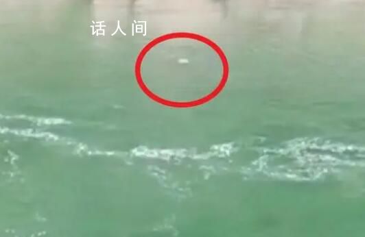 2教師疑為迎接領導撿鵝卵石溺亡 遇水電站放水被卷走溺亡