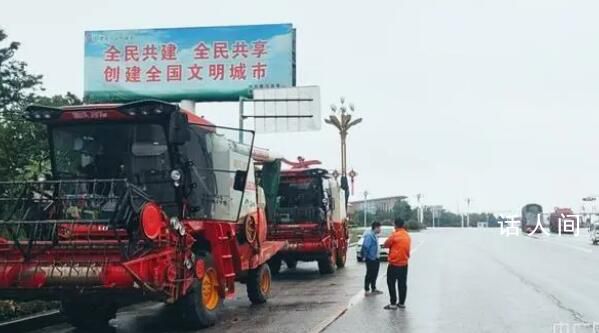 誰(shuí)拖了河南麥?zhǔn)蘸笸?媒體梳理分析