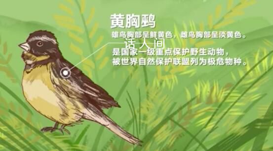 環境保護的耀眼“實績” 罕見野生動植物的頻頻現身