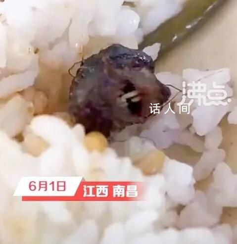 涉事學校曾因老鼠事件被聯合執法 南昌市場監管局已經介入