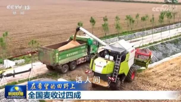 全國麥收過四成 農民朋友們的努力正在有效地得到回報