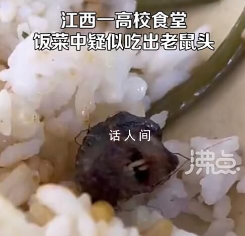 媒體:長牙的鴨脖令人如鯁在喉