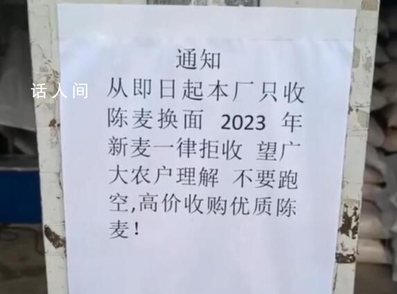 面粉廠不收今年新小麥?當地回應
