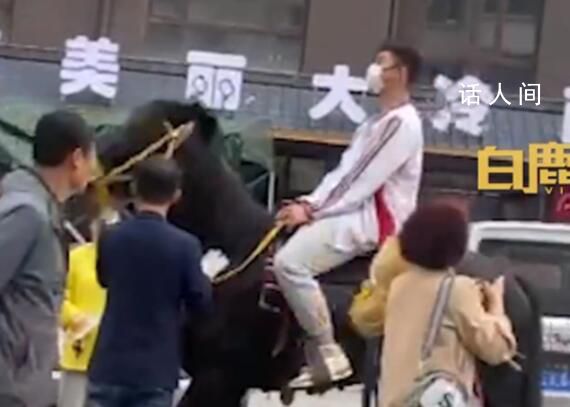 男生騎黑馬參加高考 好有儀式感