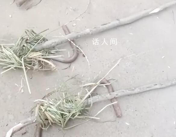 安徽有人在麥田插鋼筋損壞收割機 已經報警