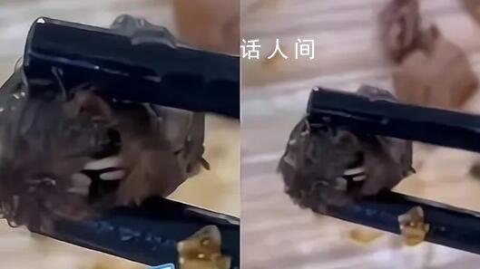 媒體:鴨脖羅生門關鍵信息未披露