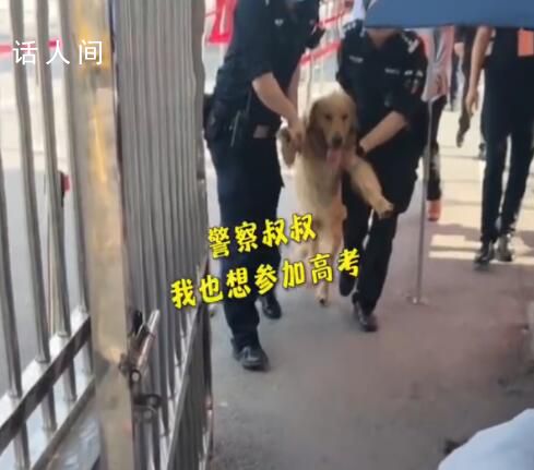 金毛沖進(jìn)考場被民警無情請出 網(wǎng)友：忘帶雙證了