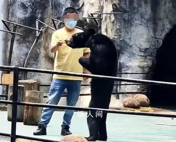 動物園一黑熊骨瘦如柴?園方回應