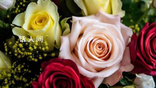 考場外鮮花售價主打一個吉利 鮮花的價格分別是9.85元和21.1元