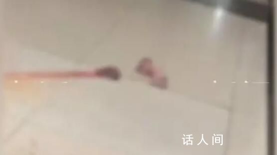 醫院回應新生兒被遺留大廳 嬰兒已送保溫箱