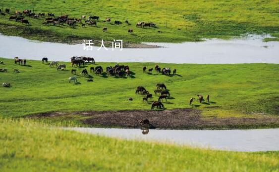 祖國北疆的綠色答卷 生態服務功能持續提升