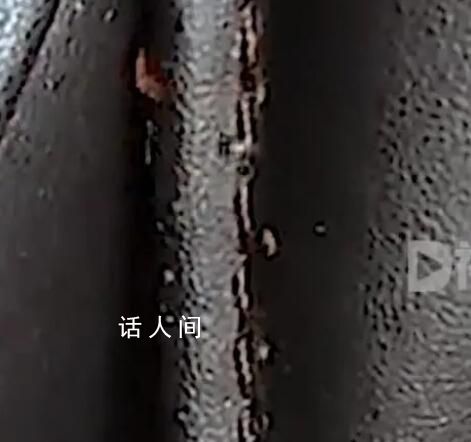 火車站按摩椅現大量蟲子 工作人員：會反饋給相關負責人