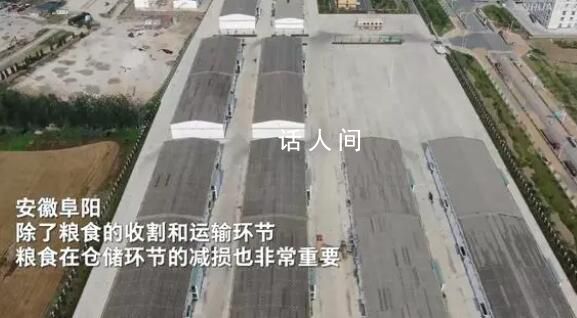 從農(nóng)田到餐桌 節(jié)糧減損進行時