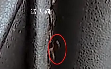 按摩椅座套出現(xiàn)蟲(chóng)子 廣州南站致歉