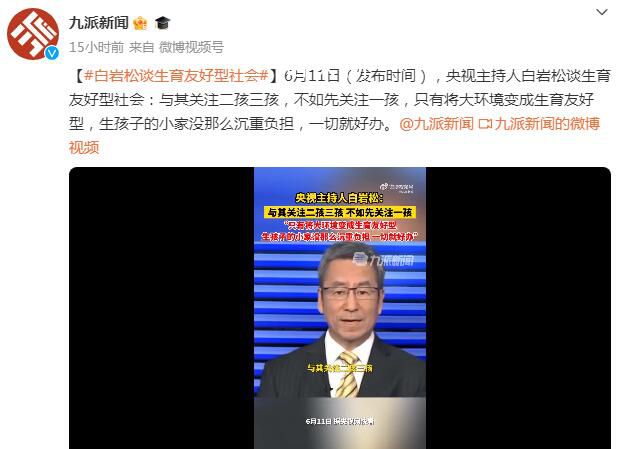 白巖松:關注二孩三孩不如先關注一孩