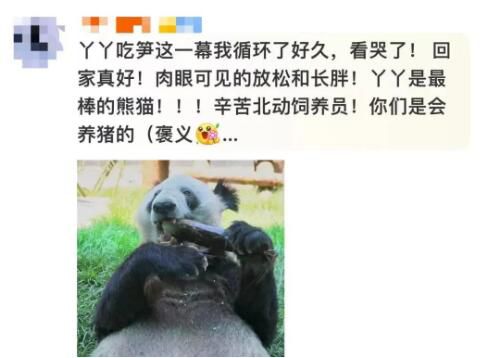 丫丫最新干飯視頻 網友驚喜盼來了最新動態