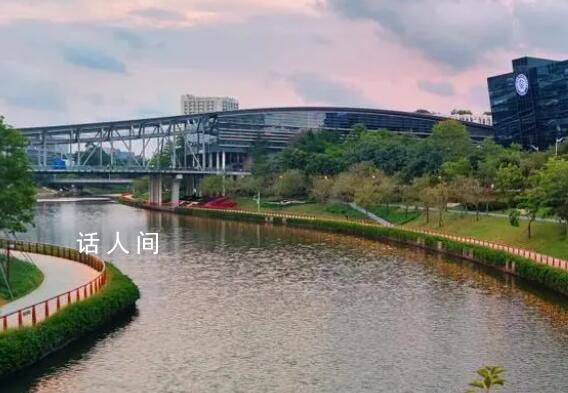 985畢業(yè)生主動延畢:有人故意掛科