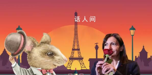 巴黎治鼠患失敗 市長建議居民與600萬老鼠共存