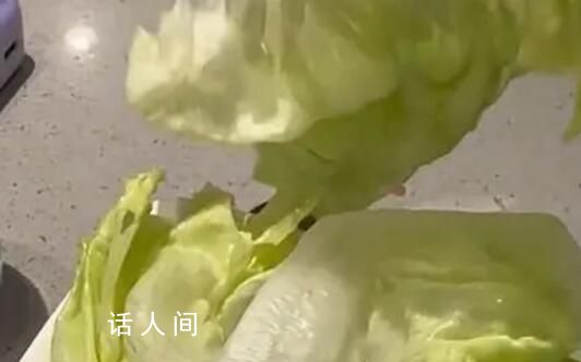 海底撈回應8塊錢生菜僅2片 我們是用很精準的克秤來稱重的