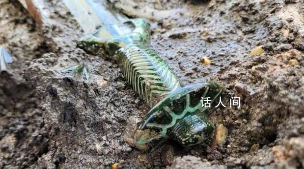 德國(guó)發(fā)現(xiàn)3000年前青銅劍 至今仍在發(fā)光