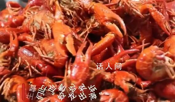 高校請近300名畢業(yè)生吃龍蝦宴 讓大家吃過癮