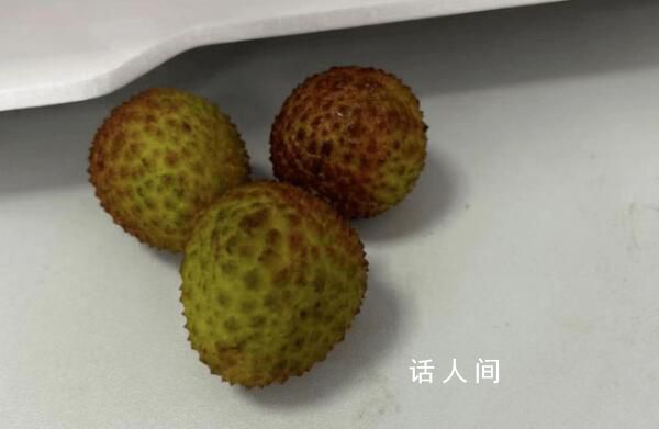 端午公司發(fā)了3顆荔枝 員工紛紛表示不滿