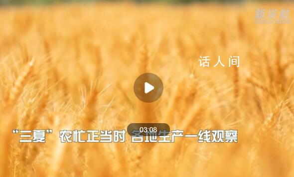 “三夏”農忙正當時 全國各地集中人力機械搶抓晴好天氣搶收