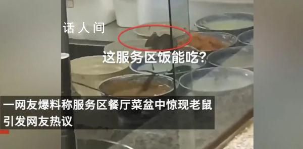 菜盆現兩只老鼠餐廳停業整改 將及時對涉事餐廳食材進行檢驗檢測