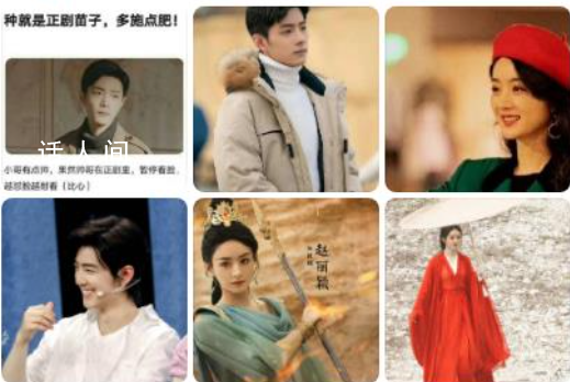 肖戰趙麗穎被網友說是正劇苗子 演什么火什么