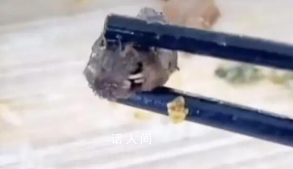 鼠頭鴨脖涉事院校周邊校食堂多數關停 涉事企業為江西中快