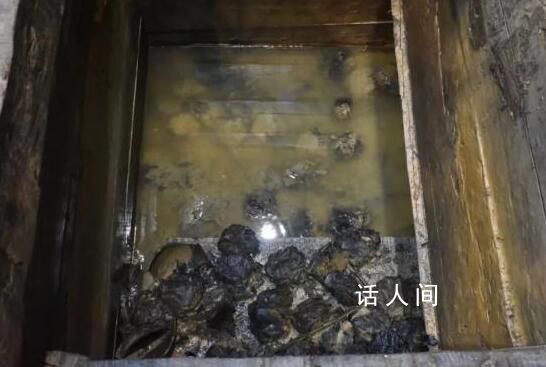 河南發(fā)現(xiàn)距今2000多年的粽子 走近中國最古老的實物粽子